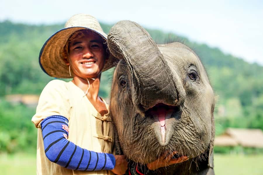 Chiang Mai: Small Group Ethical Elephant Sanctuary Tour - What Happens at Arrival: Intro Talk, Elephant Meet-and-Greet, and Program Lessons