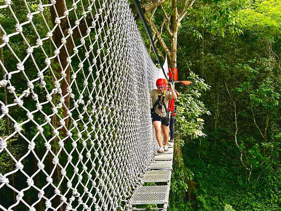 Chiang Mai: Sticky Waterfall and Zipline Adventure Day Trip - Key Highlights You’ll Remember
