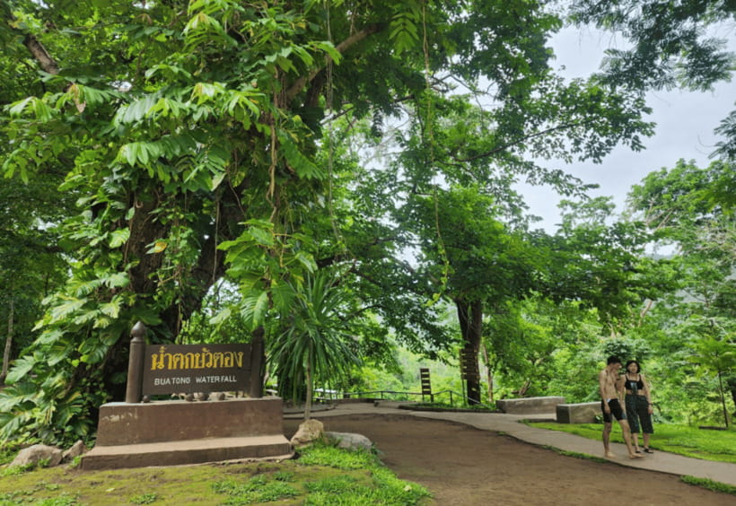 Chiang Mai: Sticky Waterfall, Bua Tong Cave Join Tour - How the half-day timing works (pickup to return)