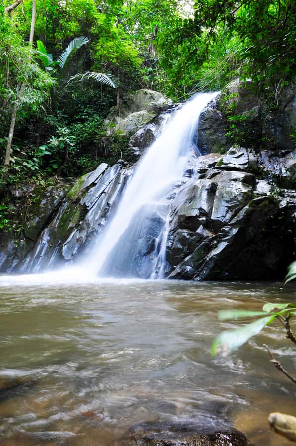 Chiang Mai: Sticky Waterfall & Caves Tour w/ Treehouse Stay - Why this treehouse-and-waterfalls combo works in Chiang Mai