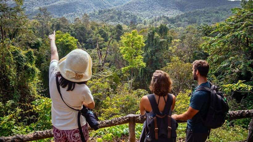 Chiang Mai: Sticky Waterfall, Chet Si Fountain Park Transfer - Key highlights worth your attention