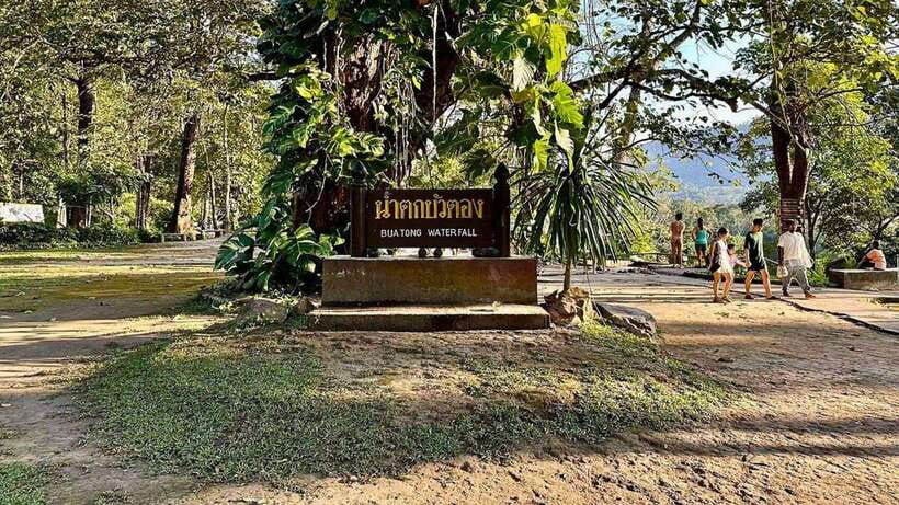 Chiang Mai: Sticky Waterfall, Chet Si Fountain Park Transfer - Final verdict, should you book this sticky waterfall and fountain transfer?