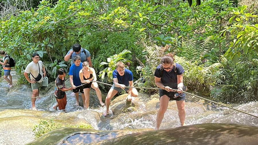 Chiang Mai : Sticky waterfall (Half Day Tour) Hotel Transfer - Sticky Waterfall In Buathong: Why You Can Climb It