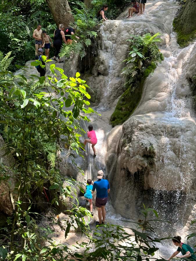 Chiang Mai : Sticky waterfall (Half Day Tour) Hotel Transfer - Morning Half-Day Timing: A 2-Hour Waterfall Window