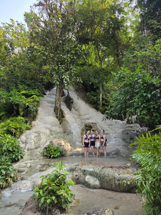 Chiang Mai : Sticky waterfall (Half Day Tour) Hotel Transfer - Who This Tour Suits Best, and Who Should Skip