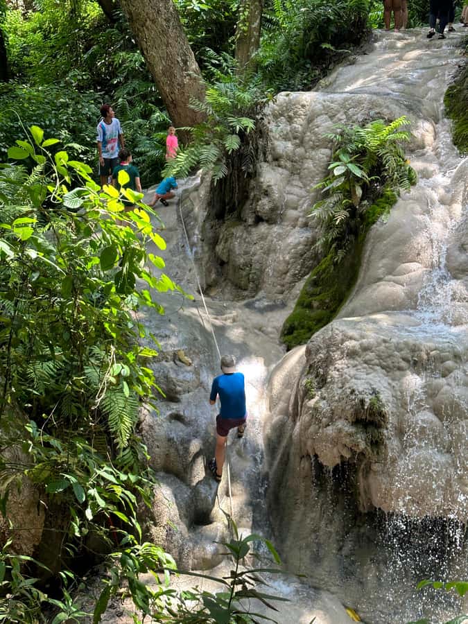 Chiang Mai : Sticky waterfall (Half Day Tour) Hotel Transfer - What to Bring: Simple Gear That Makes Climbing Easier
