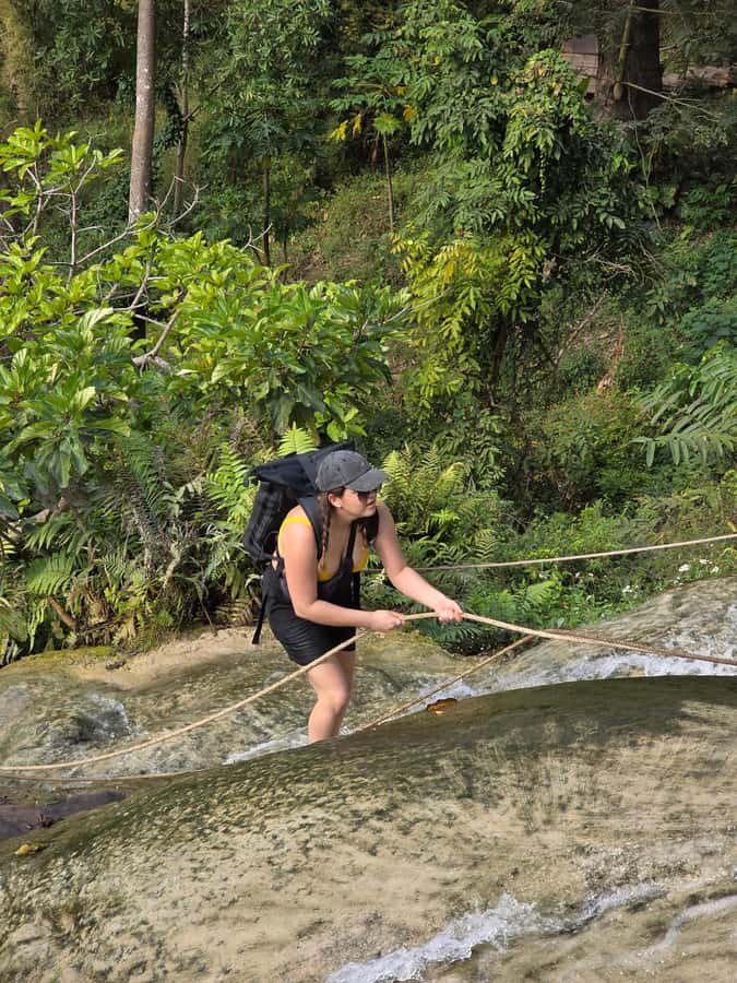 Chiang Mai : Sticky waterfall (Half Day Tour) Hotel Transfer - Booking and Timing Tips That Actually Help