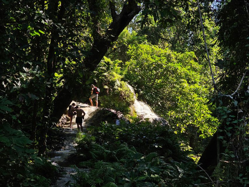 Chiang Mai: Sticky Waterfall Half-Day Tour & Hotel Transfers - Getting there from downtown Chiang Mai without turning it into a hassle