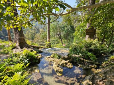 Sticky Waterfall Half-Day Tour & Hotel Transfers