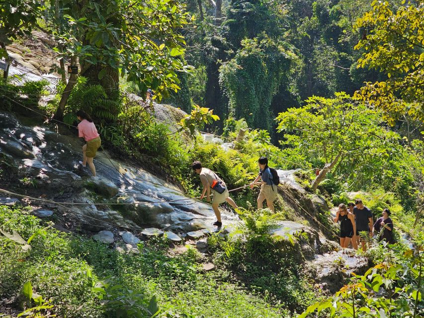 Chiang Mai: Sticky Waterfall Half-Day Tour & Hotel Transfers - Two hours at Bua Thong: what your time on site really feels like