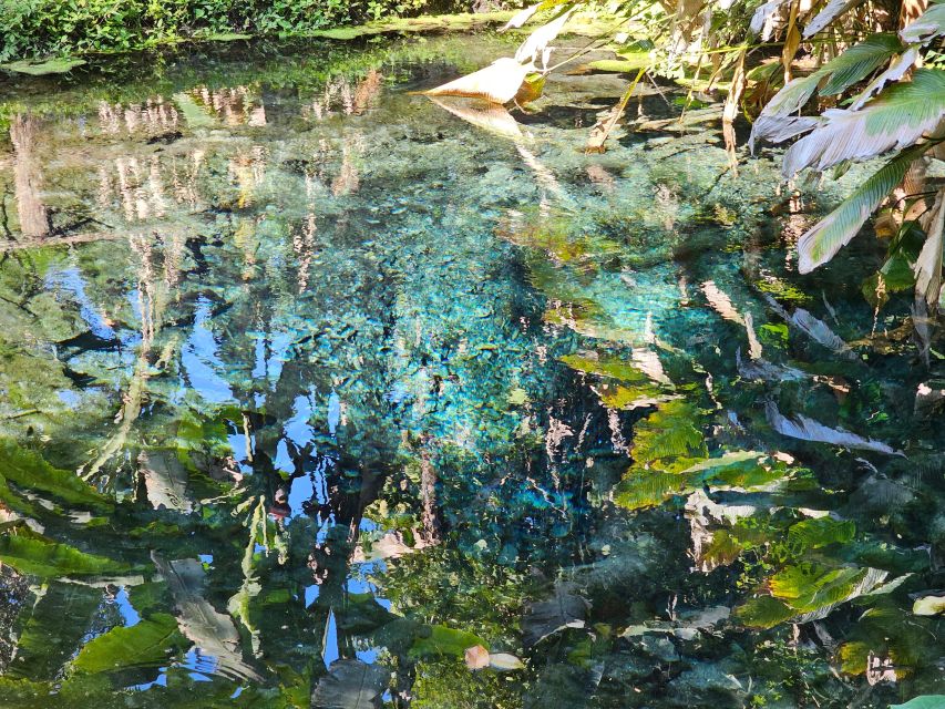 Chiang Mai: Sticky Waterfall Half-Day Tour & Hotel Transfers - Swim option: how to plan for going in the water