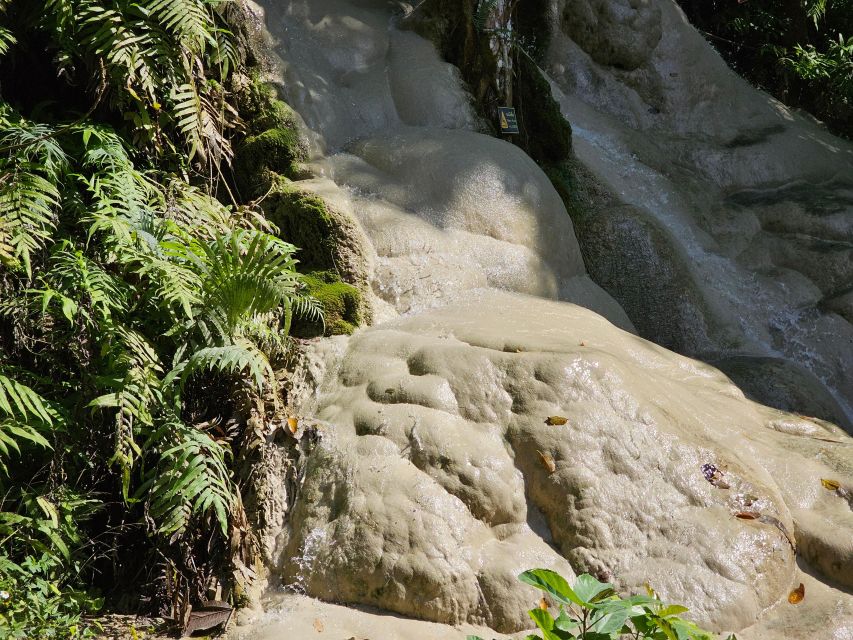 Chiang Mai: Sticky Waterfall Half-Day Tour & Hotel Transfers - What the self-guided setup means for your expectations