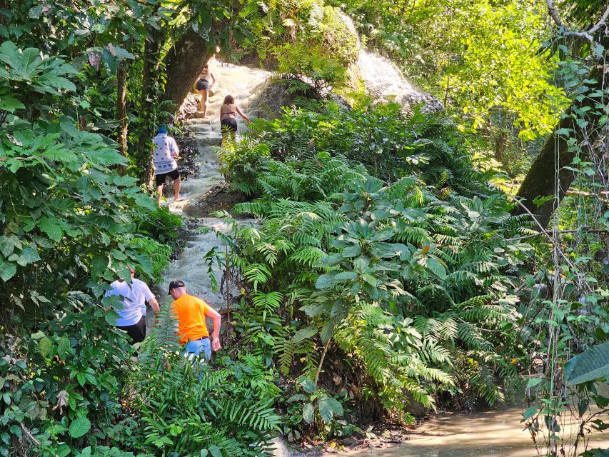 Chiang Mai: Sticky Waterfall Half-Day Tour & Hotel Transfers - Who should book this half-day Sticky Waterfall tour