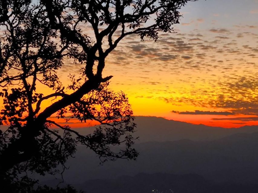 Chiang Mai Sunset Point,Wat Pha Lat,Wat Doi Suthep,Wat Umong - Is this tour worth your time? Who it fits best