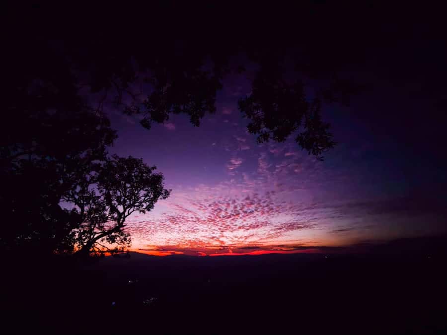 Chiang Mai Sunset Point,Wat Pha Lat,Wat Doi Suthep,Wat Umong - Guides make the day: Art, Dop, Bird, and Tippi style notes