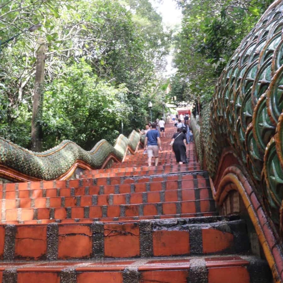 Chiang Mai Sunset Point,Wat Pha Lat,Wat Doi Suthep,Wat Umong - Wat Umong: a tunnel-built temple with a different kind of calm