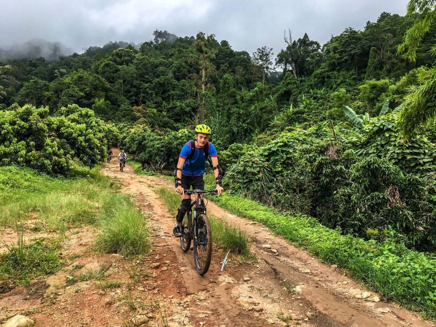 Chiang Mai: Suthep National Park Hiking & DH Mountain Biking - What I Like Most: Jungle Climb, Then a Real Downhill Win
