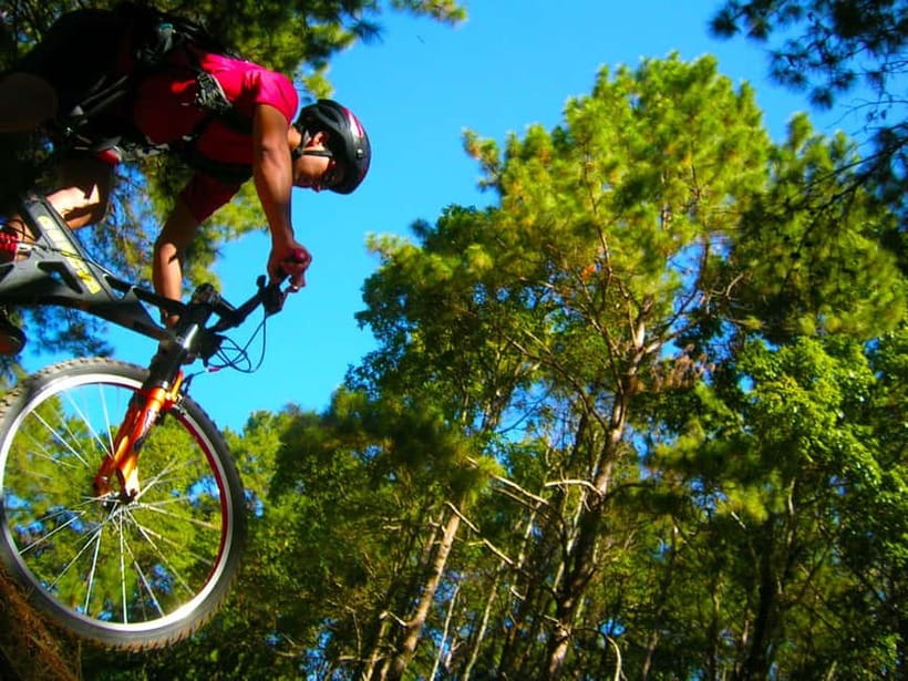 Chiang Mai: Suthep National Park Hiking & DH Mountain Biking - Key Points That Make This Tour Worth Your Time