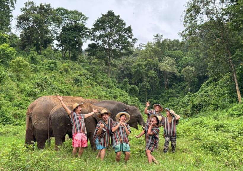 Chiang Mai | TeeTee Elephant Home Elephant Care Half-Day - Fruit feeding and vitamin balls: the hands-on care moments