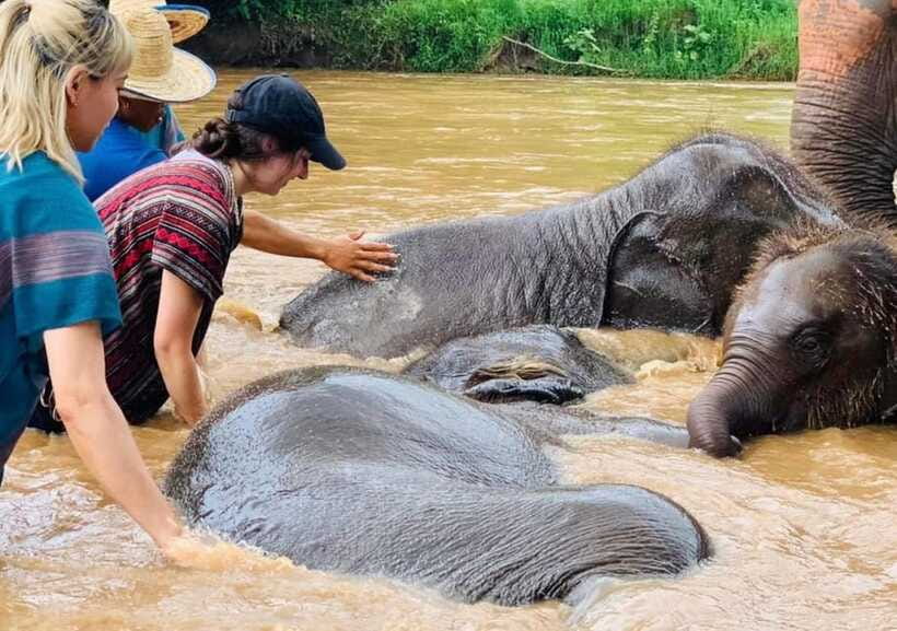Chiang Mai | TeeTee Elephant Home Elephant Care Half-Day - Lunch of vegetarian Pad Thai, eaten with the day’s rhythm