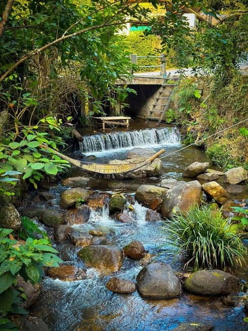 Chiang Mai: The Giant Café & Mae Kampong Village Day Trip - Local Thai Lunch: Eat What You Want, When You Want It