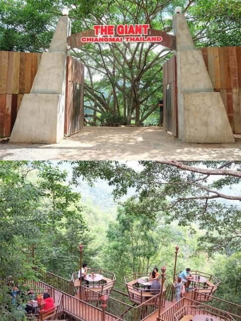 Chiang Mai: The Giant Café & Mae Kampong Village Day Trip - English-Speaking Driver Energy: Why It Changes Everything