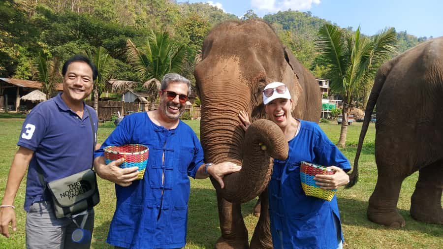 Chiang Mai Tour: Bua Tong Sticky Waterfall & Elephant Care - Key highlights worth knowing
