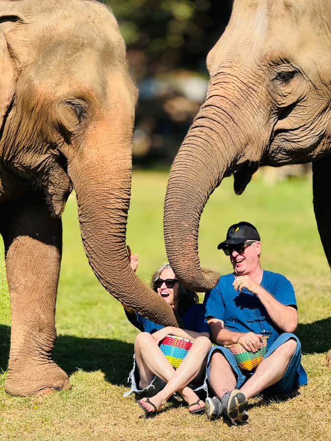 Chiang Mai Tour: Bua Tong Sticky Waterfall & Elephant Care - A practical 8-hour plan, with no last-minute sprinting