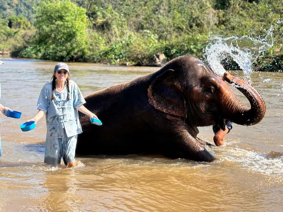 Chiang Mai Tour: Bua Tong Sticky Waterfall & Elephant Care - Price and value: is $86 worth your day?