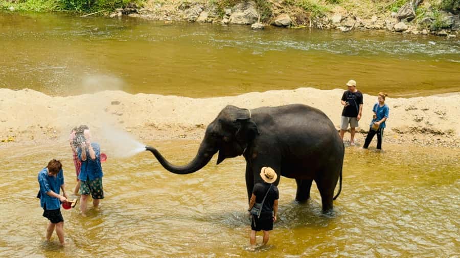 Chiang Mai Tour: Bua Tong Sticky Waterfall & Elephant Care - Bua Tong sticky waterfall: what you’re really signing up for