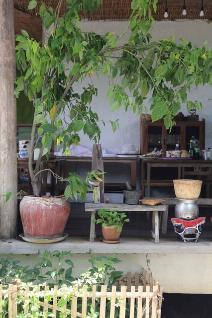 Chiang Mai : Traditional Northern Cooking Class - What you’ll actually learn, and why it’s worth your time