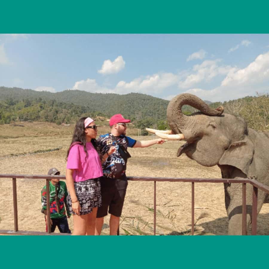 Chiang Mai: Two-day Temple of Elephants Sanctuary Tour - Jungle trekking with waterfall stops, bathing breaks, and guide stories