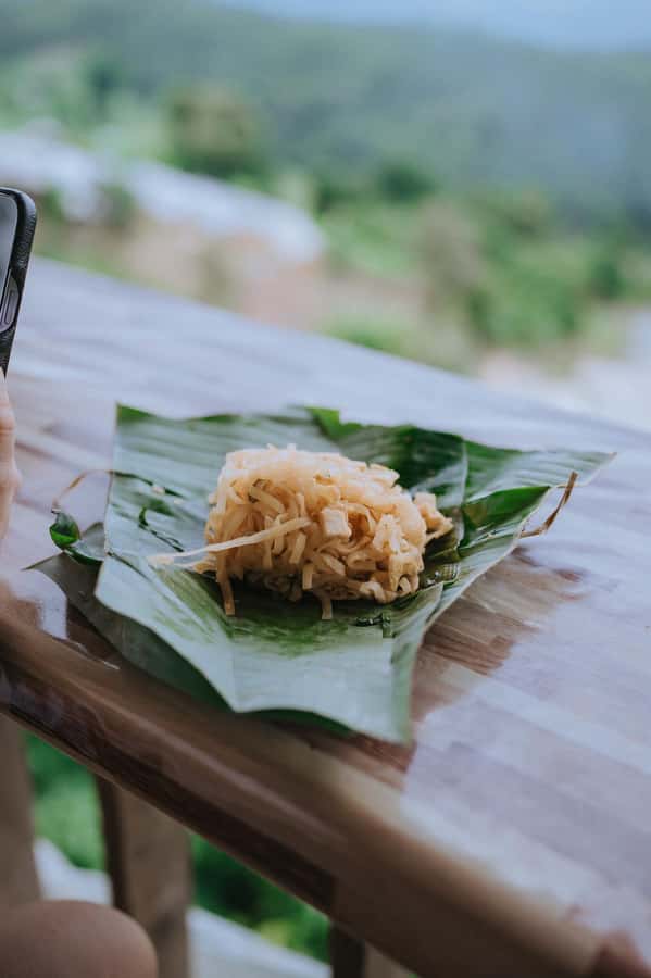 Chiang Mai: Two-day Temple of Elephants Sanctuary Tour - Your overnight by the waterfall: real jungle sleep, not hotel sleep