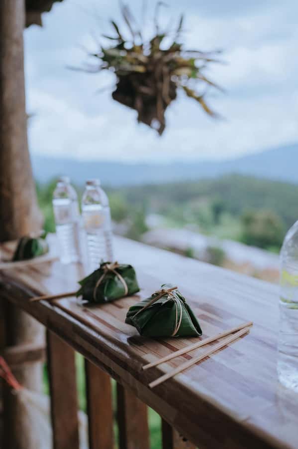 Chiang Mai: Two-day Temple of Elephants Sanctuary Tour - Hotel pickup, scenic drive, and how the morning actually starts