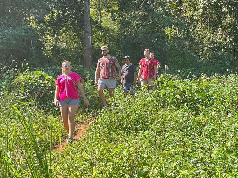 Chiang Mai Untouched Elephant: Nature Walk & Waterfall Trek - Who should book this mahout day, and who should skip it?