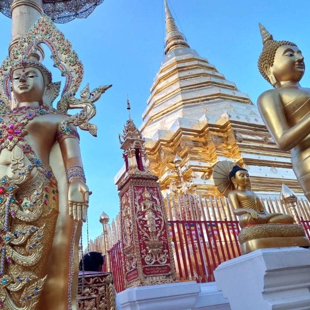 Chiang Mai: Wat Pha Lat & Wat Phra That Doi Suthep Tour - Why this Wat Pha Lat plus Doi Suthep tour makes sense at night