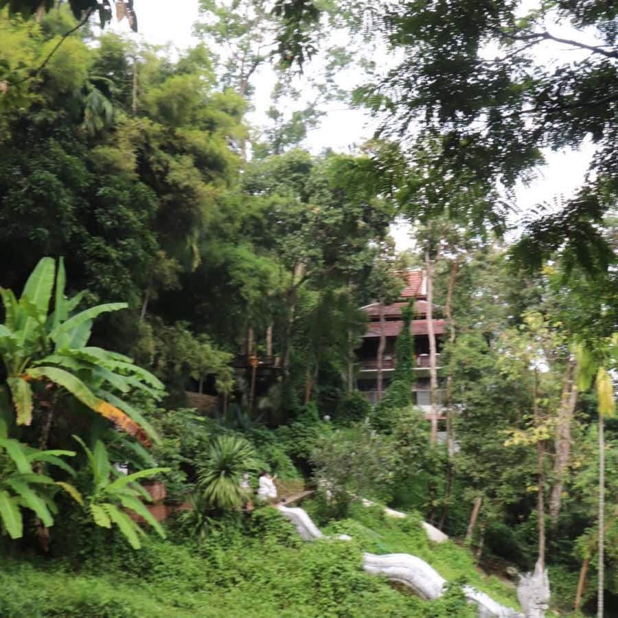 Chiang Mai: Wat Umong, Wat Pha Lat And Wat Doi Suthep Tour - Should You Book This Chiang Mai Temples Tour?