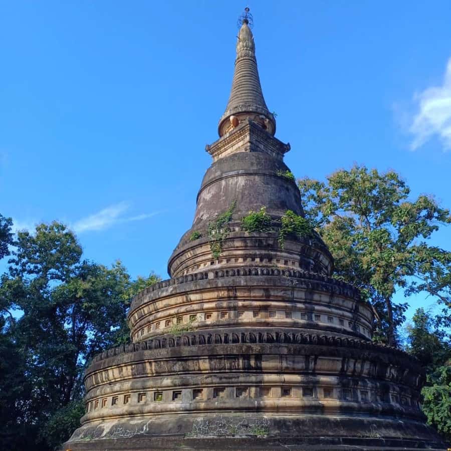 Chiang Mai: Wat Umong, Wat Pha Lat And Wat Doi Suthep Tour - Wat Umong: The Meditation Tunnel Under the Big Pagoda
