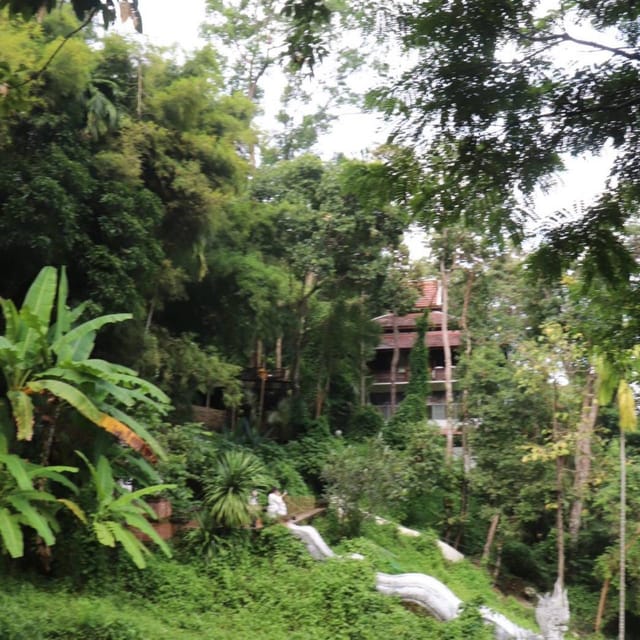 Chiang Mai: Wat Umong, Wat Pha Lat And Wat Doi Suthep Tour - Timing, Transportation, and How to Stay Comfortable
