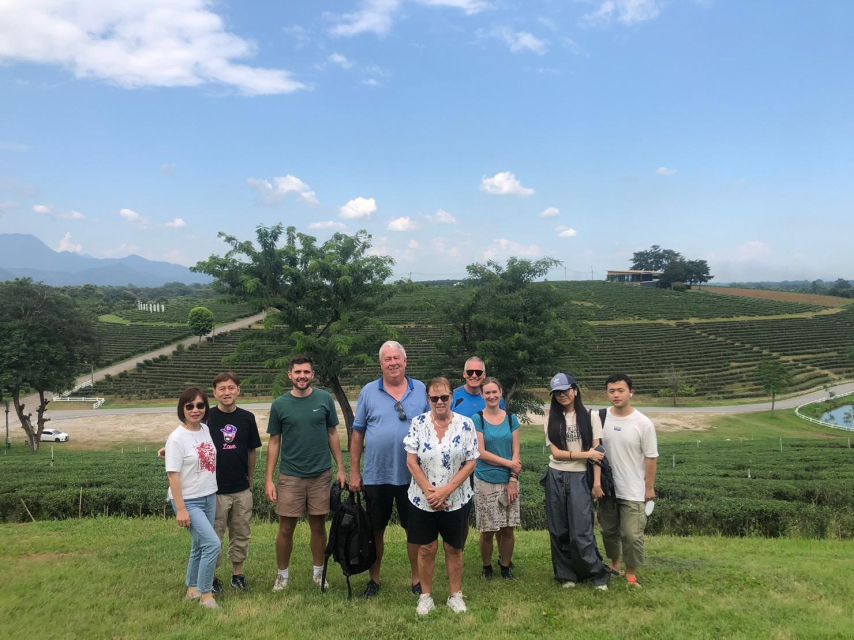 Chiang Rai: 7 Popular Highlights – FREE Lunch Buffet - Choui Fong Tea Plantation, the scenic break you can taste
