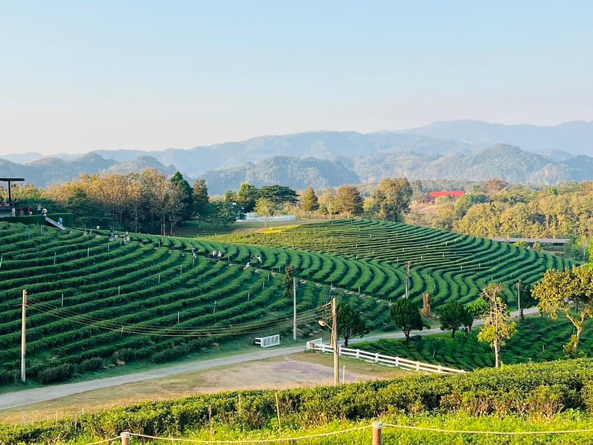 Chiang Rai: Discover 7 Must-See Spots & Lunch Included - Lunch at a local restaurant, built into the route