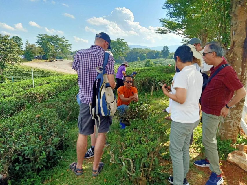 Chiang Rai Guide: Popular 7places 3Colors ,Golden Triangle - How the day stays workable: timing, lunch, and AC comfort