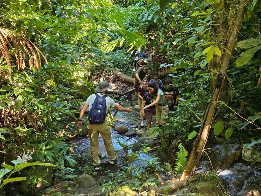 Chiang Rai: Jungle Adventure-Group Trekking & Bamboo Cooking - The Hike Route: Tea Plantation, Bamboo Forest, Rice Fields, and Hill-Tribe Villages