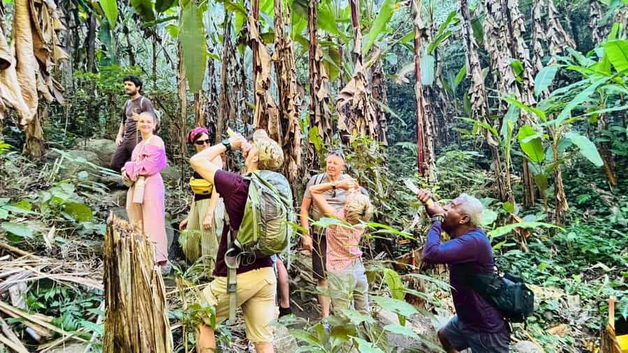 Chiang Rai: Jungle Adventure-Group Trekking & Bamboo Cooking - Who This 10 to 12 km Jungle Trek Is Best For (and Who Should Skip It)
