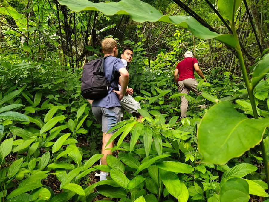 Chiang Rai: Jungle Adventure-Group Trekking & Bamboo Cooking - Bamboo Cooking Lunch and Handmade Tools That Actually Keep You Busy