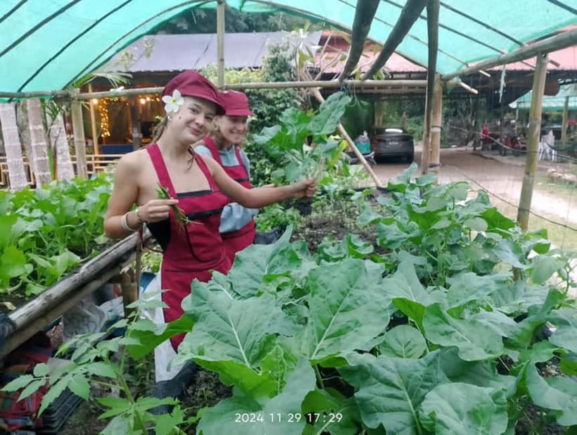 Chiang Rai:Lanna Home Cooking Class at Give Green Farm House - Give Green Farm House: the organic setting that changes how you cook