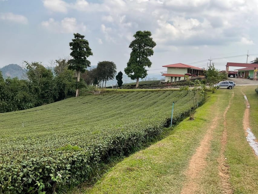 Chiang Rai: Mountains Discovery Doi Mae Salong & Doi Tung - Price and logistics: what $79 buys you
