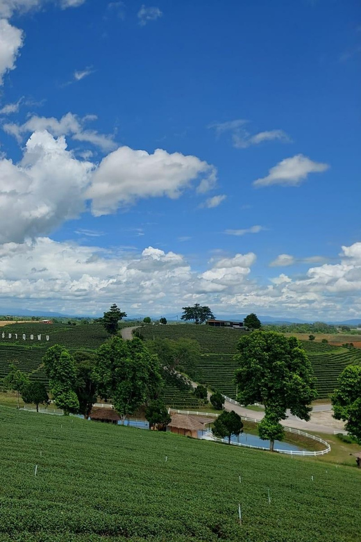 Chiang Rai: Temple Treasures & Popular Sightseeings (Buffet) - Pickup at 8:00 to 8:30 and the small-group pace