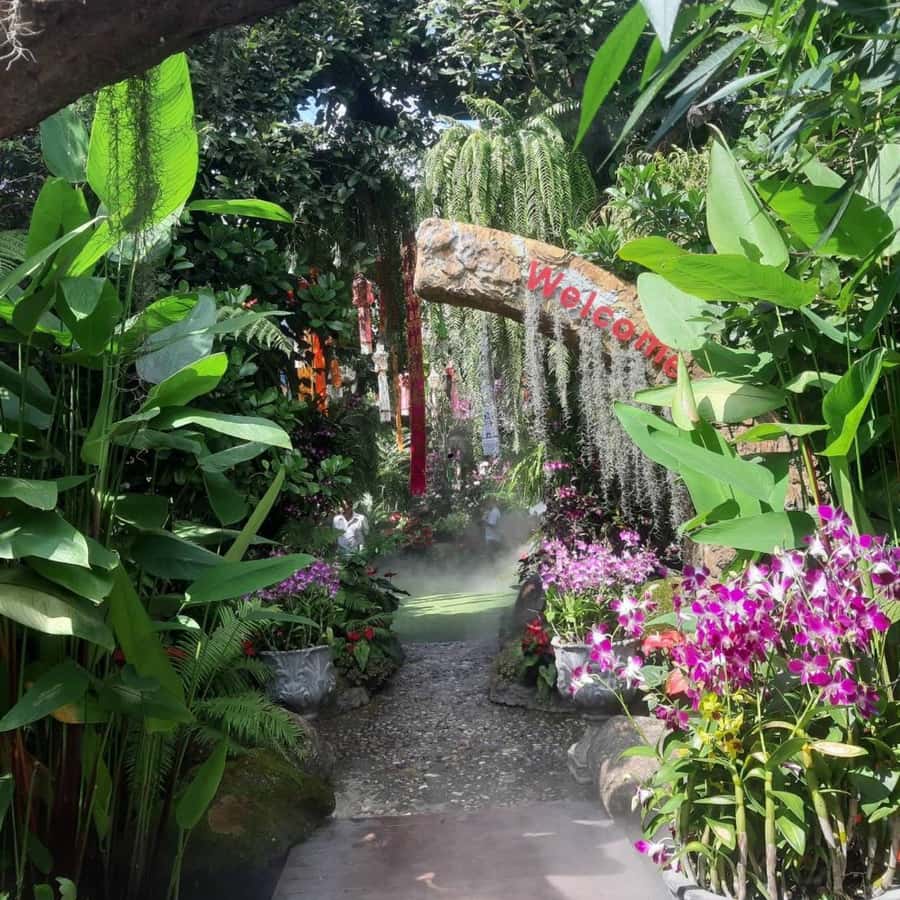 Chiang Rai: Temples Trip with Sang Kaew and Lalitta Cafe - Key Highlights You Will Actually Feel