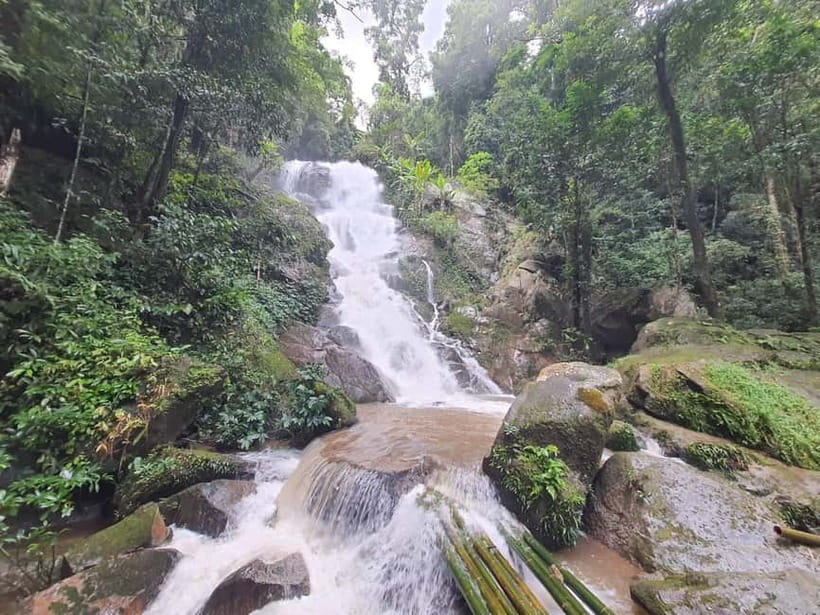 Chiang Rai Trek:Jungle Hike, Bamboo-Cooked Lunch & Boat Ride - Karen village visit: starting with culture, then moving into the trail